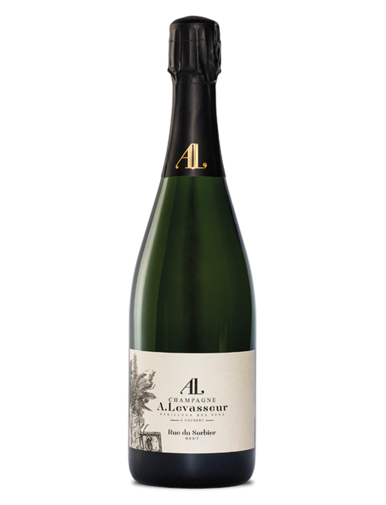 A. LEVASSEUR 'Rue de Sorbier Brut'